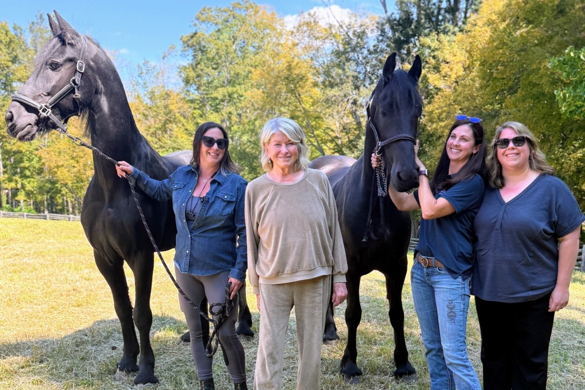 Four women stand outdoors with two large black horses on a sunny day, with green trees and grass in the background.