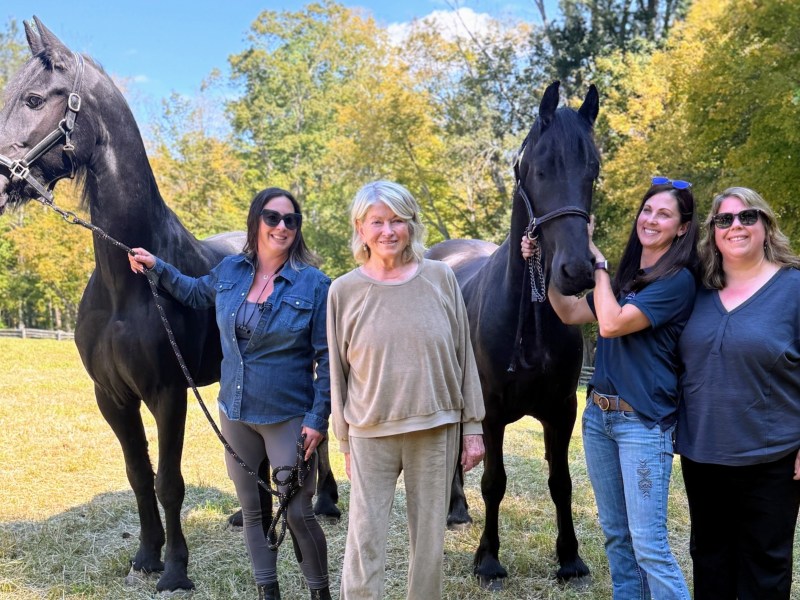 Four women stand outdoors with two large black horses on a sunny day, with green trees and grass in the background.