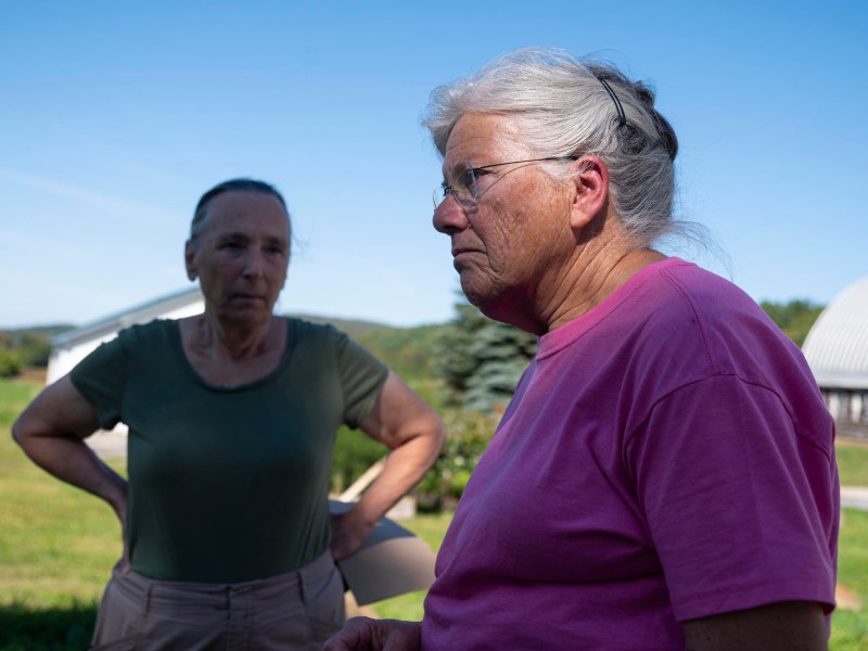 Two older women stand outdoors on a sunny day, one in a pink shirt in the foreground and one in a green shirt in the background, with buildings and trees visible behind them.