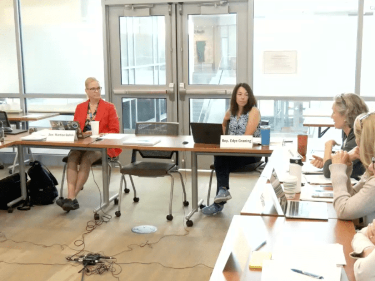 At halfway mark, school redistricting task force reviews first draft map proposal 