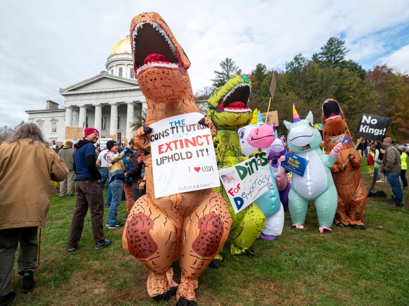 People in inflatable dinosaur costumes hold protest signs on a grassy area in front of a white-domed government building.