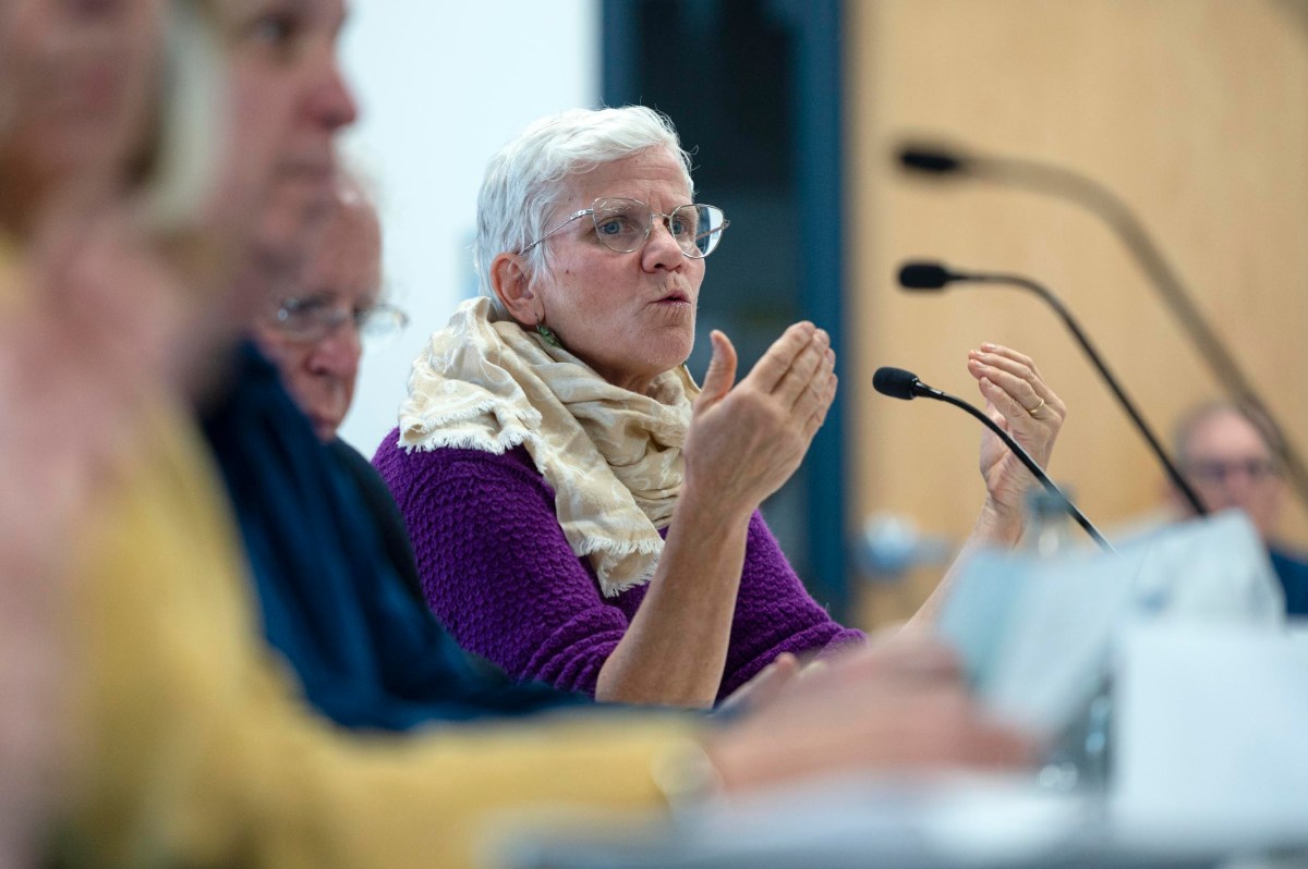 An older woman with short white hair speaks into a microphone at a panel discussion, gesturing with her hands while others listen beside her.