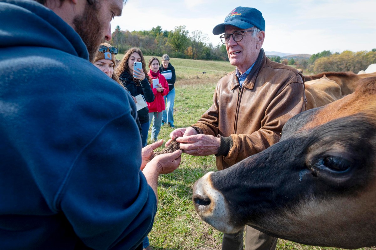 A group of people stand in a field as a man in a leather jacket examines a handful of feed, with a cow in the foreground and others observing and taking photos.