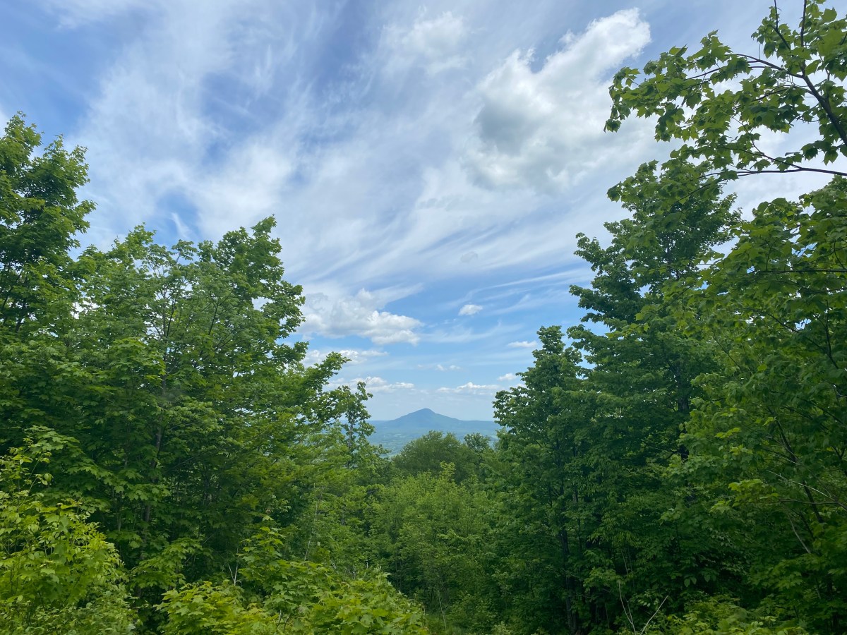 Green trees frame a distant mountain under a blue sky with wispy clouds.