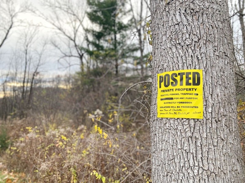 A yellow "Posted Private Property" sign is attached to a tree trunk in a wooded area with sparse foliage.