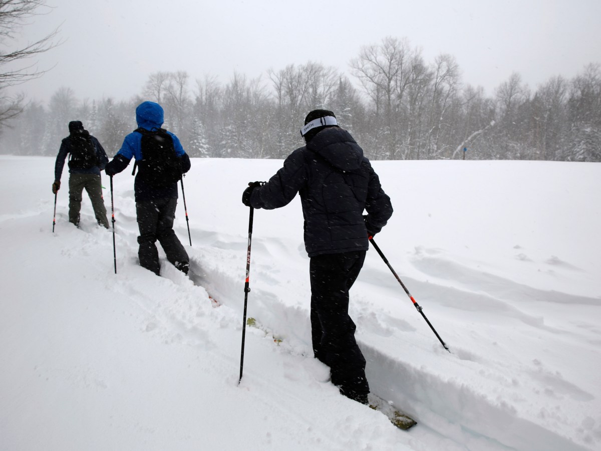 It’s lights out on Tomasi Meadow