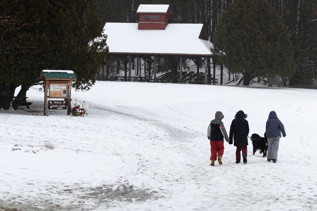 Three people and a dog walk on a snowy path toward a covered pavilion in a park, with trees and a trailhead sign nearby.