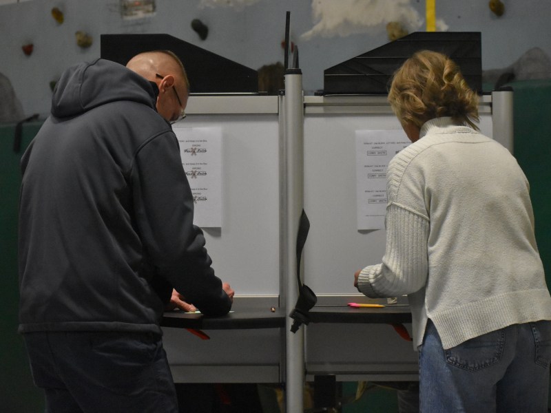 A man in a gray hoodie and a woman in a white shirt stand at voting booths.