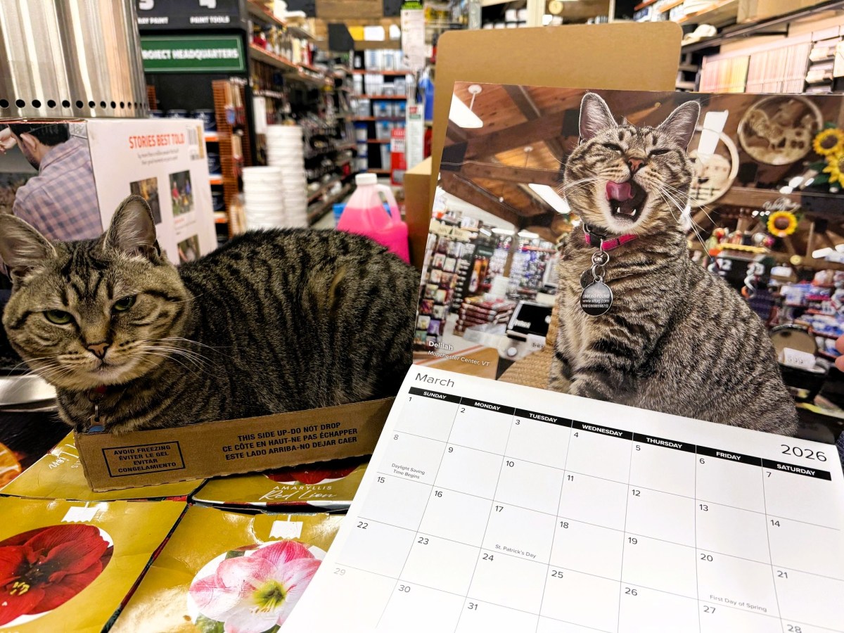 For many Vermont hardware stores, a new calendar year brings paws