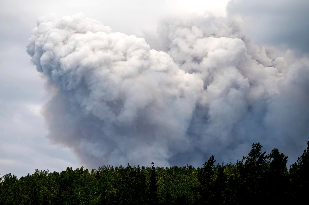Thick, gray smoke billows into the sky above a dense forest, partially obscuring the cloudy sky.