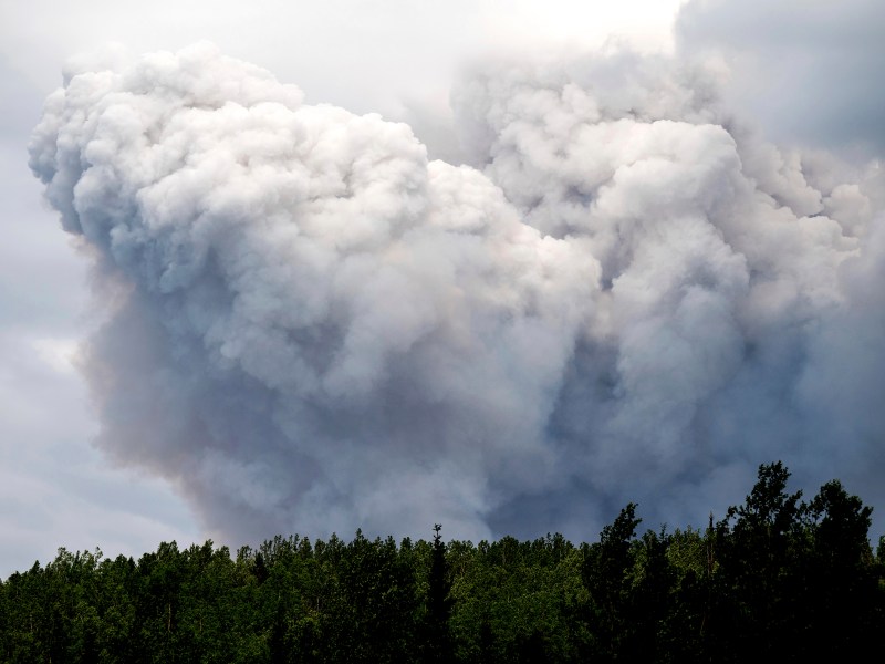 Thick, gray smoke billows into the sky above a dense forest, partially obscuring the cloudy sky.