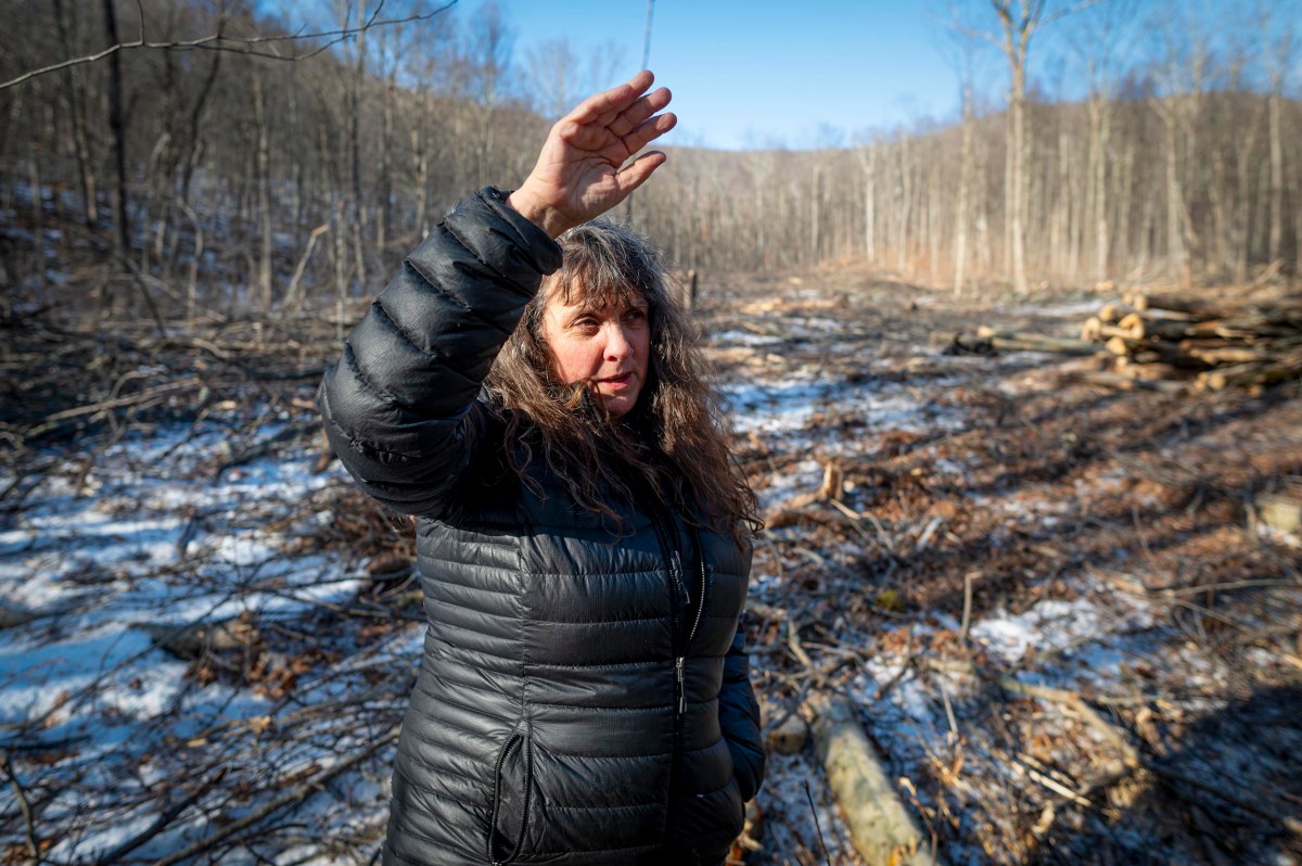 A woman in a black jacket stands in a snowy, deforested area, raising her hand to shield her eyes from the sun. Bare trees and cut logs are visible in the background.