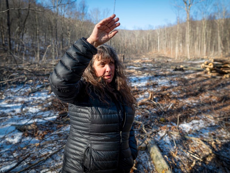 A woman in a black jacket stands in a snowy, deforested area, raising her hand to shield her eyes from the sun. Bare trees and cut logs are visible in the background.