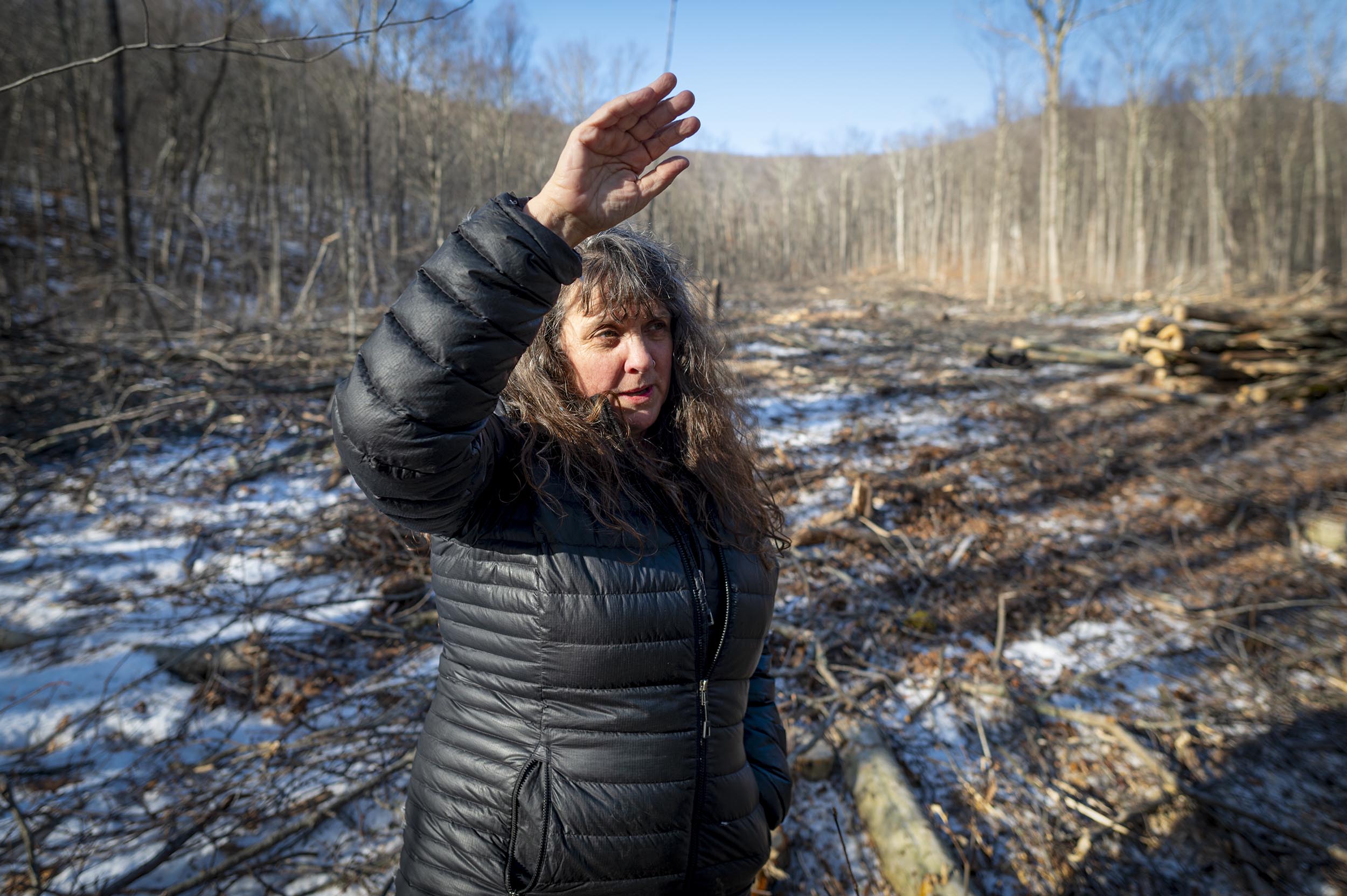 Spirit Hollow silent retreat and Ruffed Grouse Society take opposite stands on Green Mountain National Forest logging