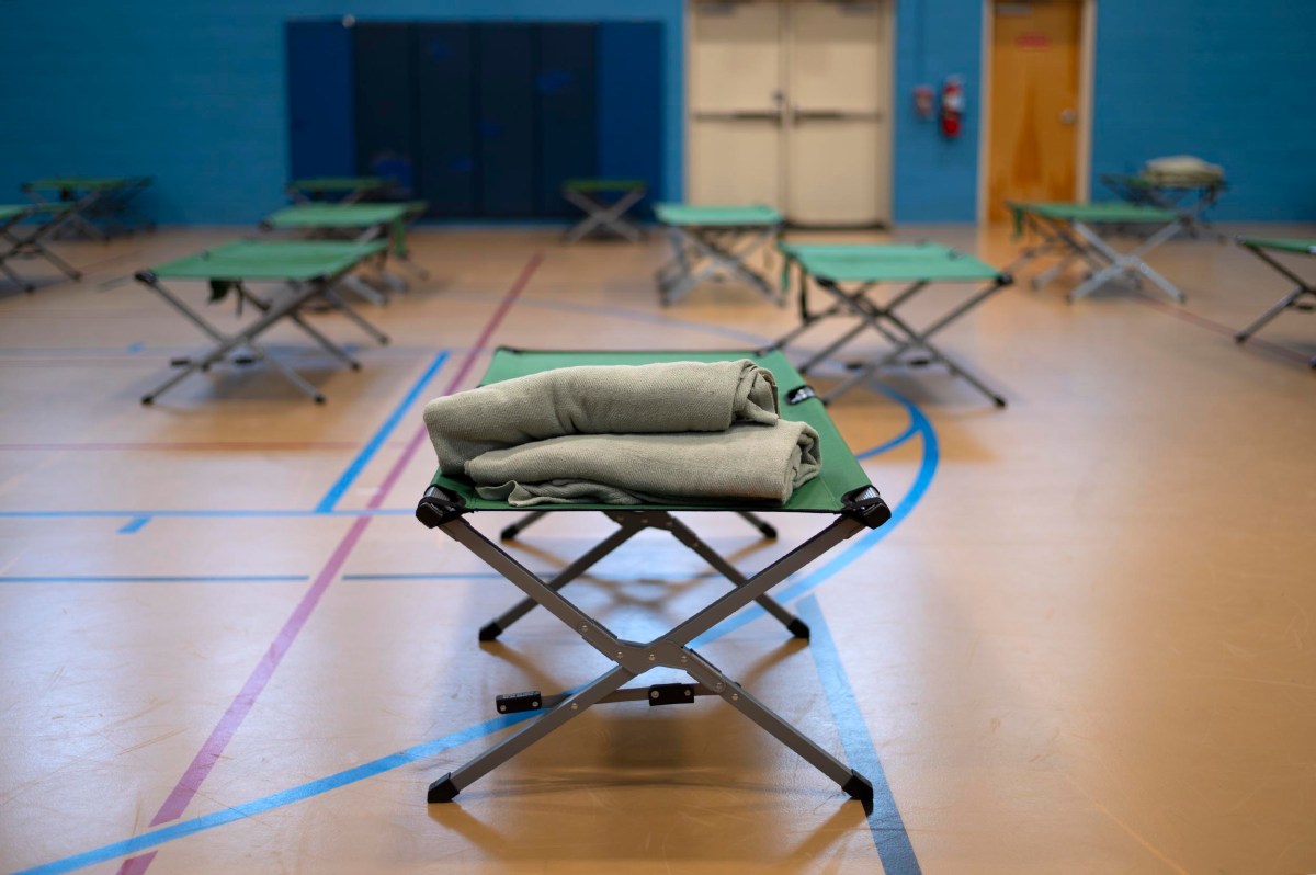 Green cots with folded blankets are arranged in rows inside a gymnasium with blue walls and tan flooring.