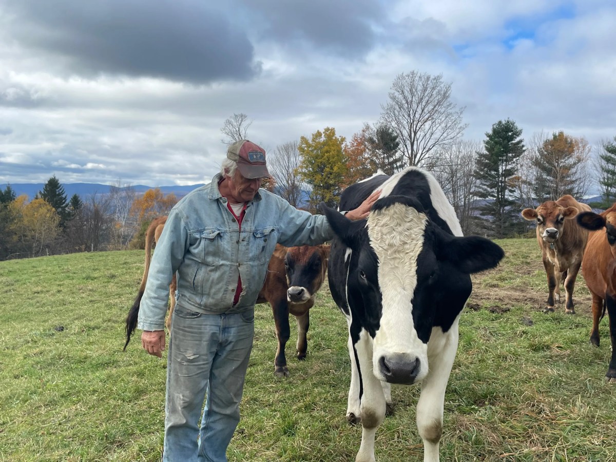 Waterbury’s former dairy farm owners struggle to move on