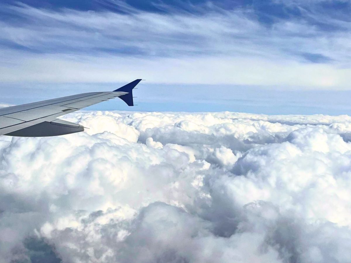 Young Writers Project: ‘The Brave’