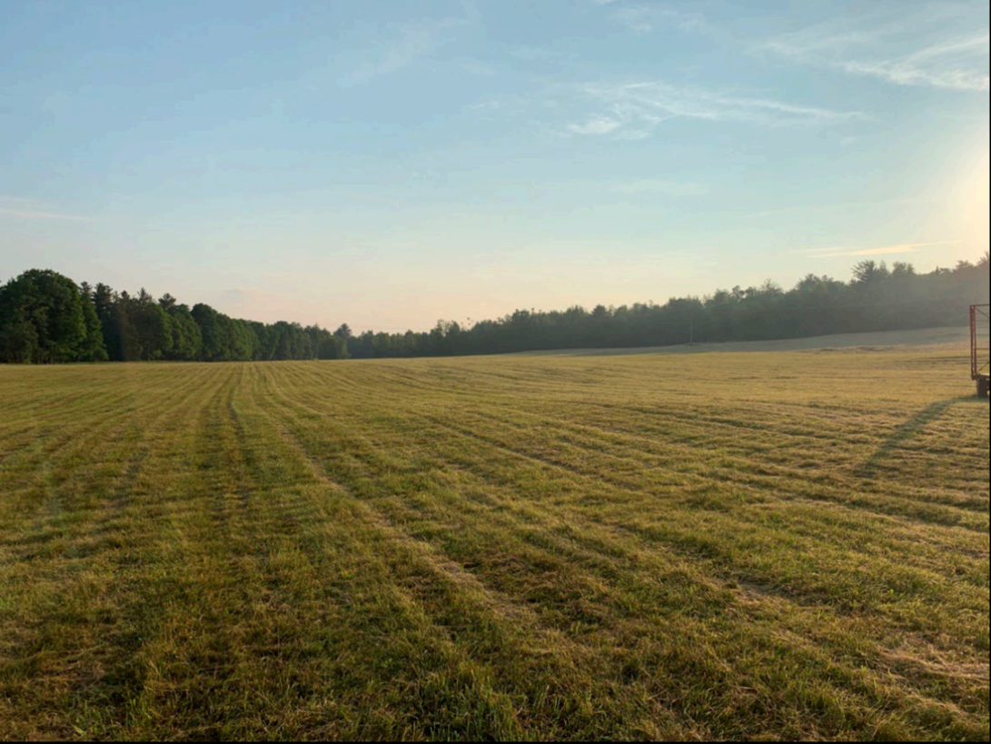 A wide, open grassy field with parallel mowing lines, bordered by trees under a clear blue sky with soft sunlight.