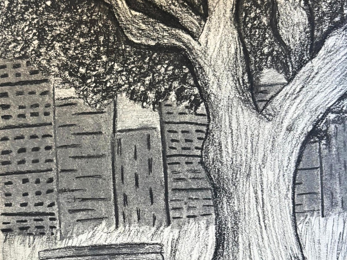 Young Writers Project: ‘Dear New York City’