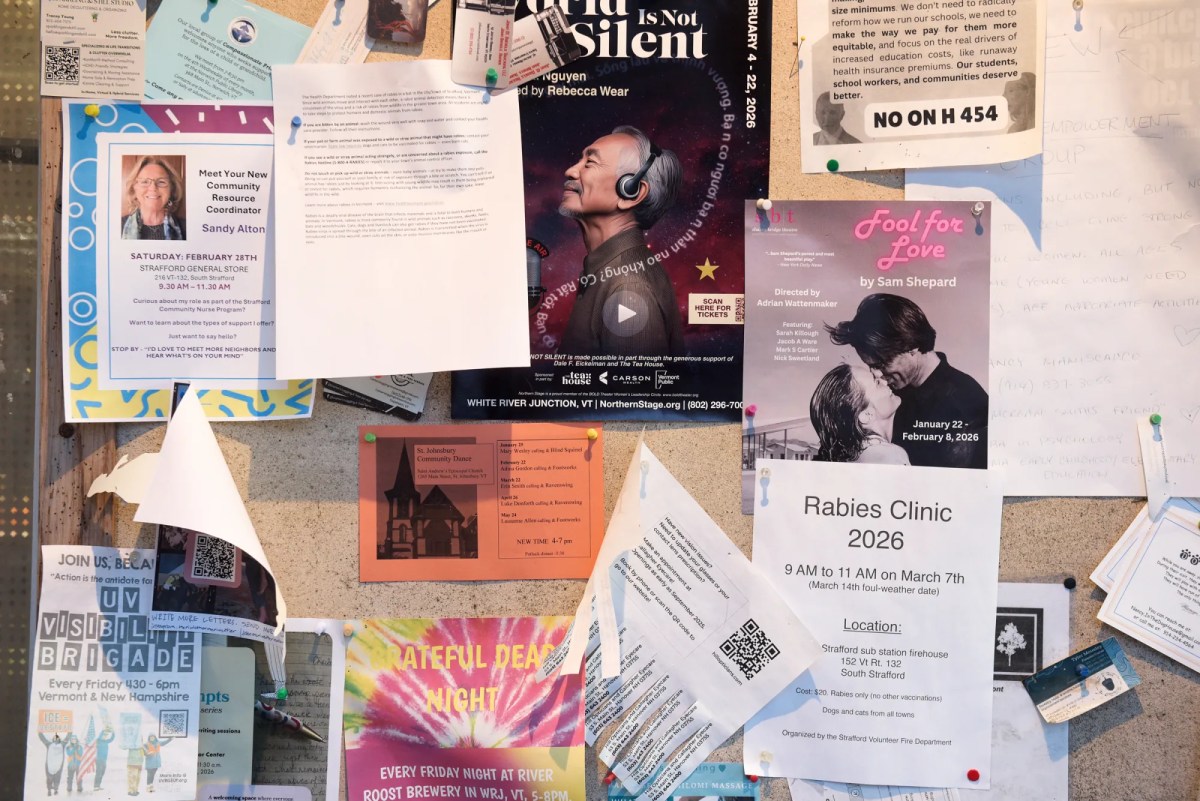 A bulletin board covered with various flyers, including event announcements, a rabies clinic notice, a play poster, and community information, all pinned and overlapping each other.