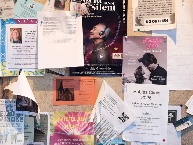 A bulletin board covered with various flyers, including event announcements, a rabies clinic notice, a play poster, and community information, all pinned and overlapping each other.