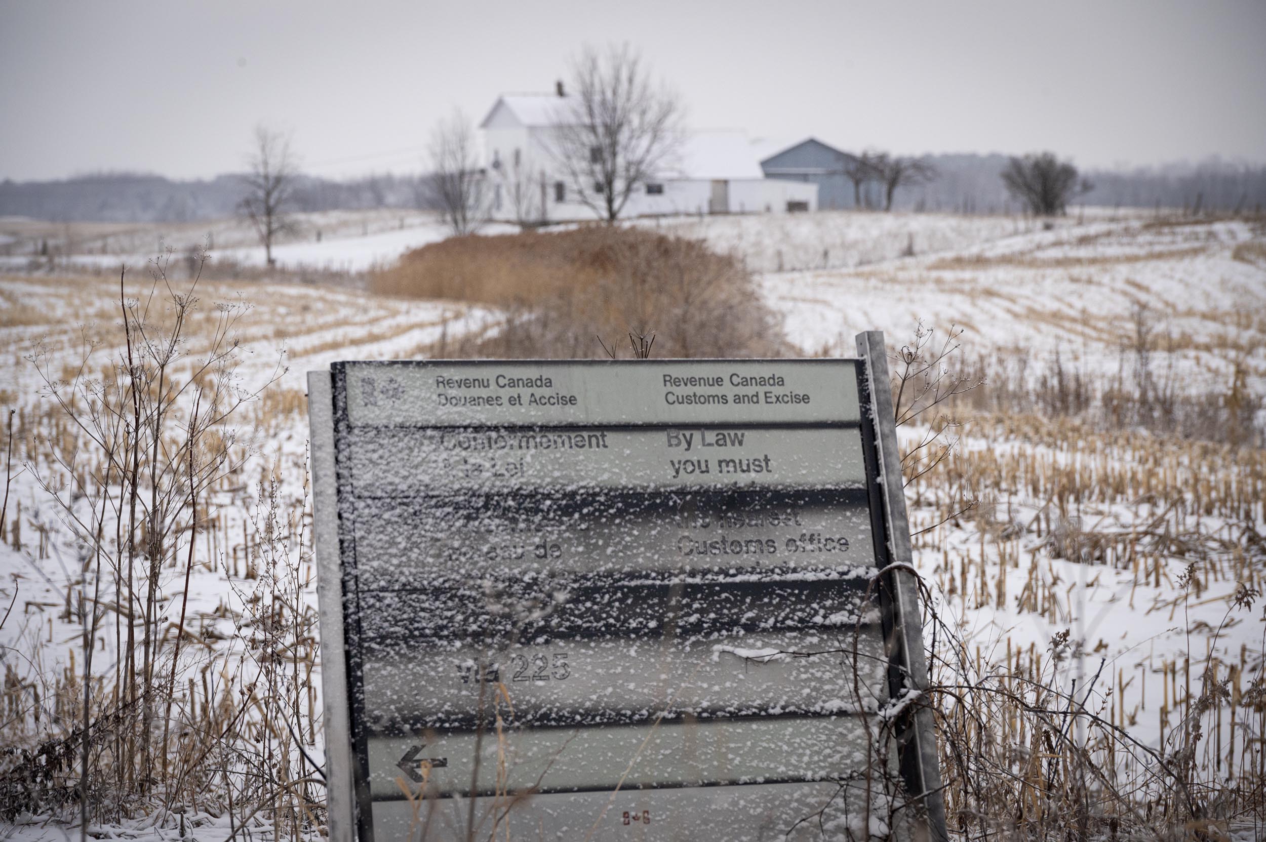 International migration to Chittenden County plummeted last year, new data shows