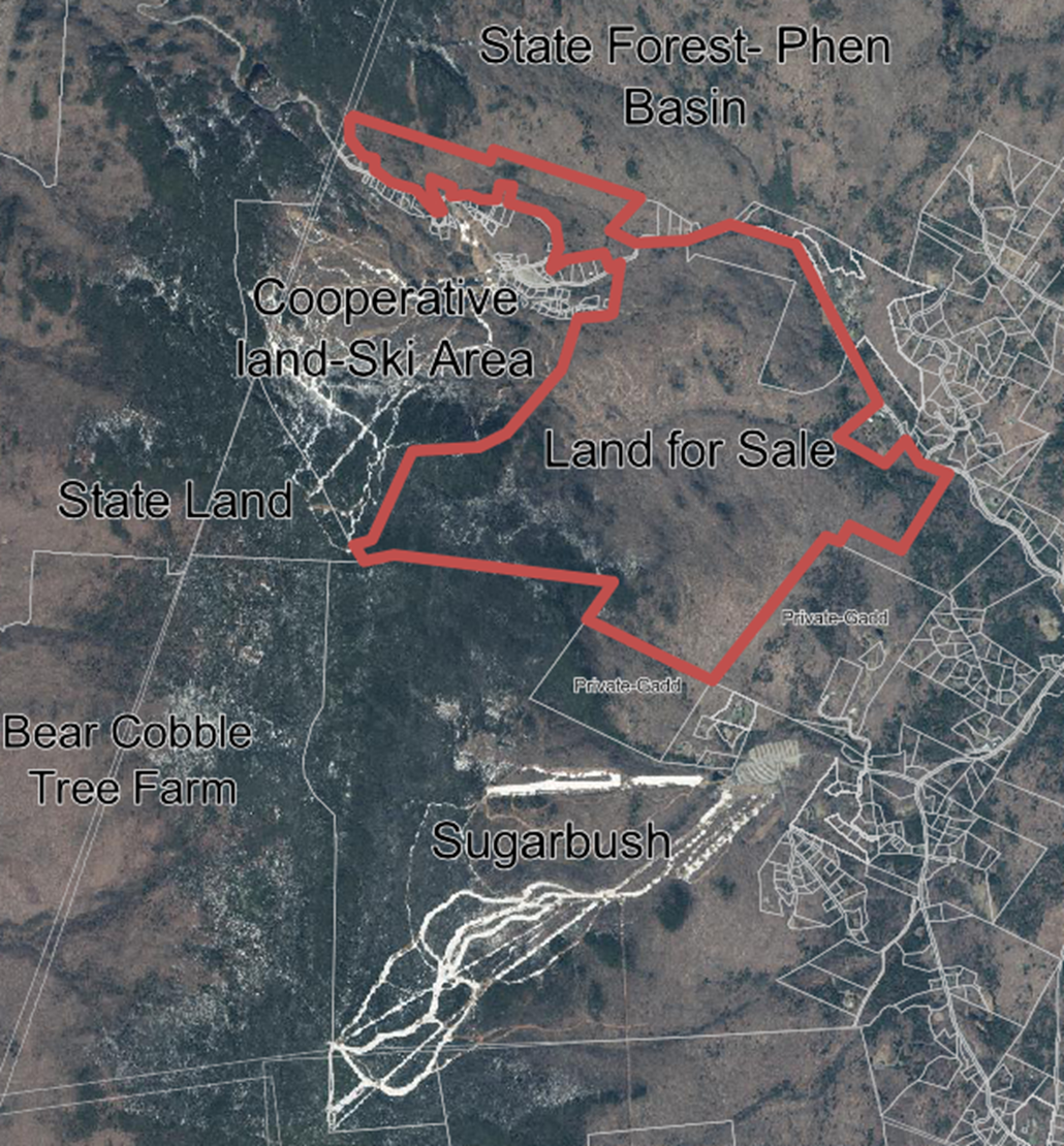 Aerial map showing outlined "Land for Sale" area near State Forest, Cooperative Land Ski Area, Bear Cobble Tree Farm, and Sugarbush, with roads and property boundaries visible.