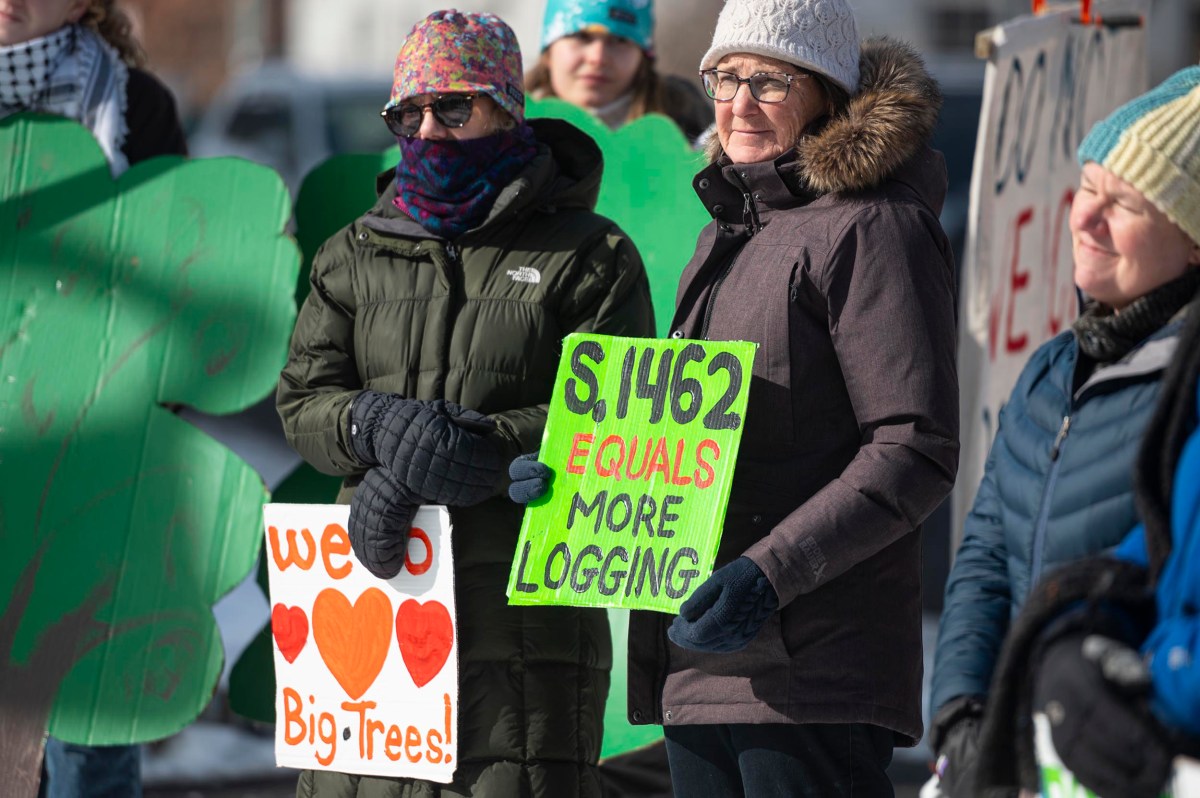 A group of people at a protest hold signs, including one reading "S.1462 EQUALS MORE LOGGING" and another saying "we ♥ Big Trees!.