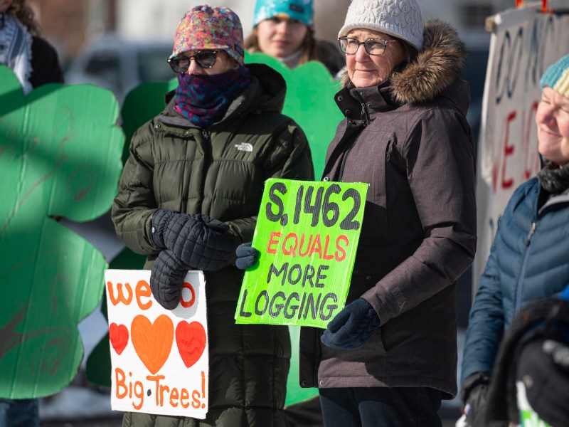 A group of people at a protest hold signs, including one reading "S.1462 EQUALS MORE LOGGING" and another saying "we ♥ Big Trees!.