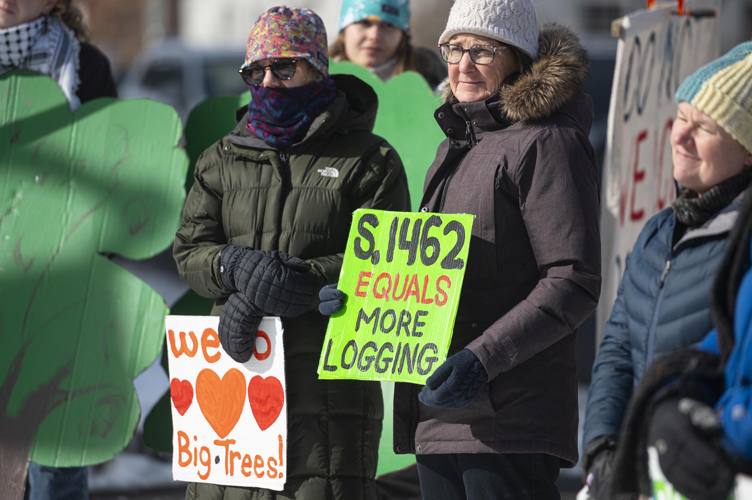 Is Fix Our Forest Act a fix or a free pass for loggers?