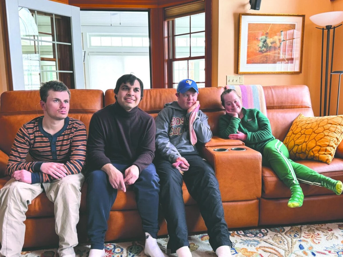 In search of forever homes