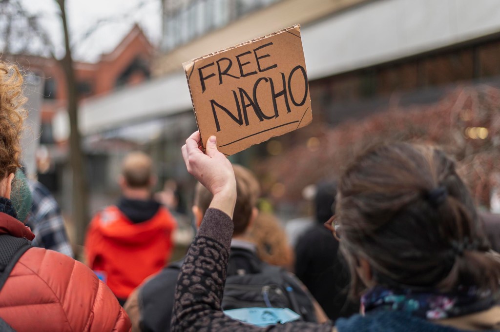 A person in a crowd holds up a cardboard sign that says "FREE NACHO" during an outdoor gathering.