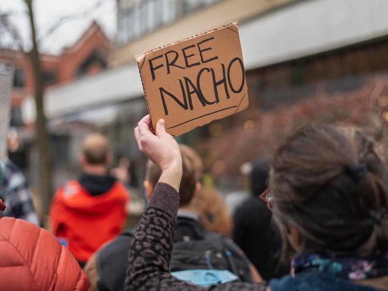 A person in a crowd holds up a cardboard sign that says "FREE NACHO" during an outdoor gathering.