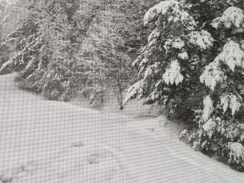 ​​Young Writers Project: ‘End the ICE Age’