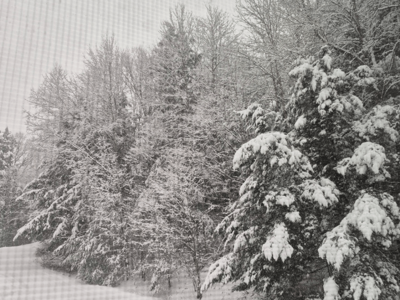 ​​Young Writers Project: ‘End the ICE Age’