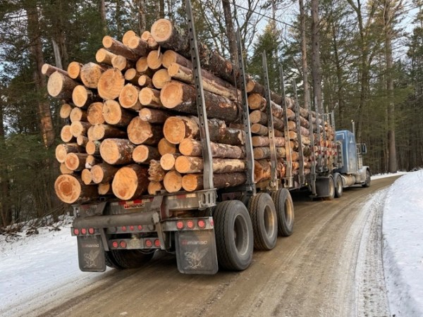 Anatomy of a forest project