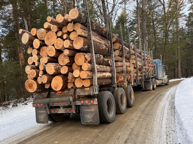 Anatomy of a forest project