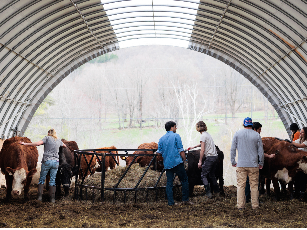 Preparing a Vermont farmstead for the next century