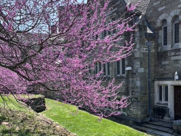 Young Writers Project: ‘The World Starts to Bud’