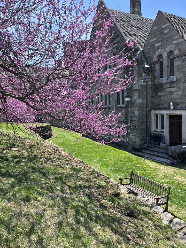 مشروع الكتّاب الشباب: “العالم يبدأ في التبرعم”