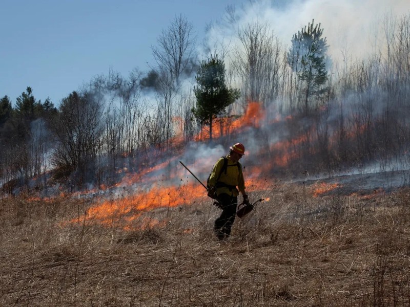 Forest Service uses controlled burns for wildlife and wildfire prevention