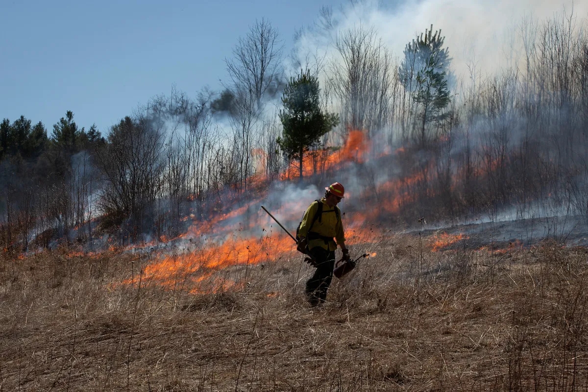 A firefighter in protective gear stands in front of a grass fire, with flames and smoke rising among dry vegetation and trees.