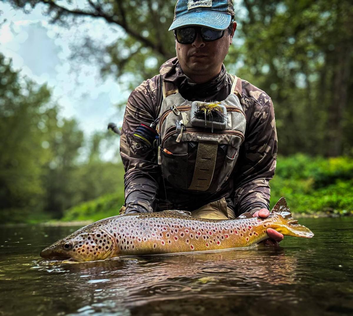 Person kneeling in shallow water holding a large brown trout with both hands, wearing outdoor fishing gear and sunglasses, with trees in the background.