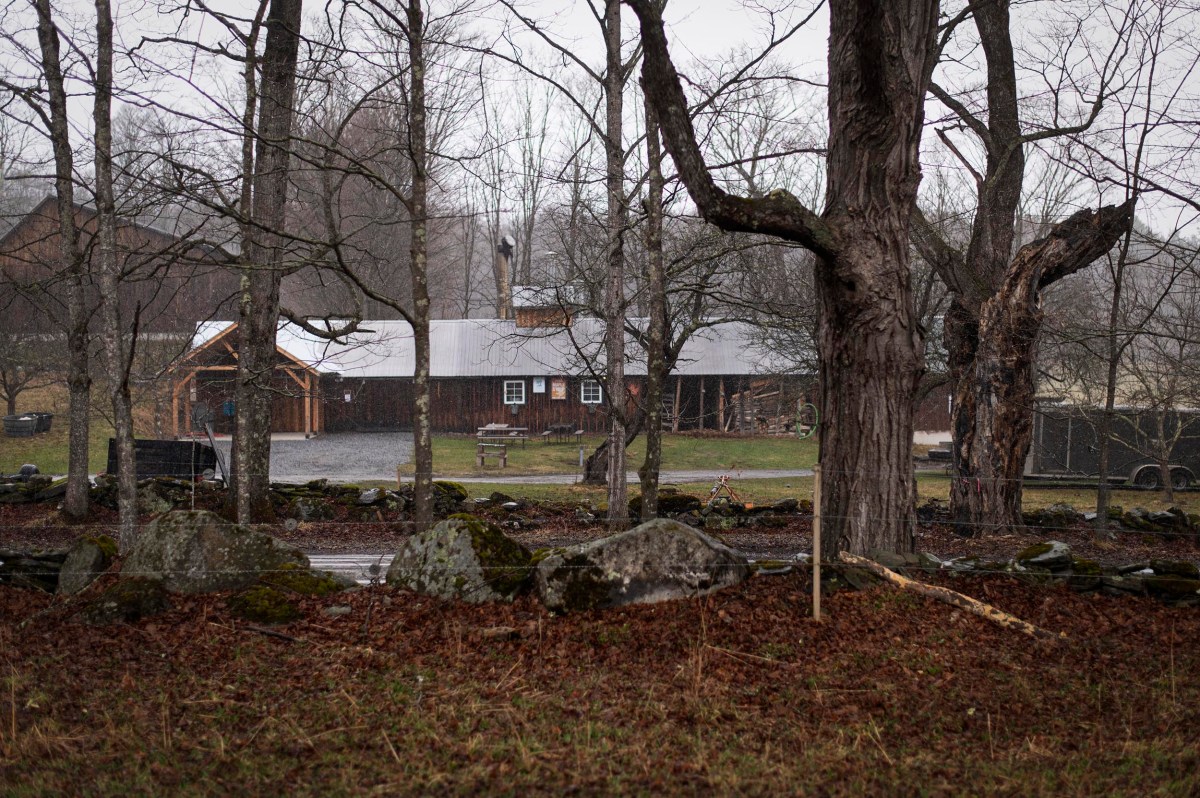 A rustic wooden building sits behind leafless trees and large rocks on a cloudy day, with damp ground and subdued lighting.