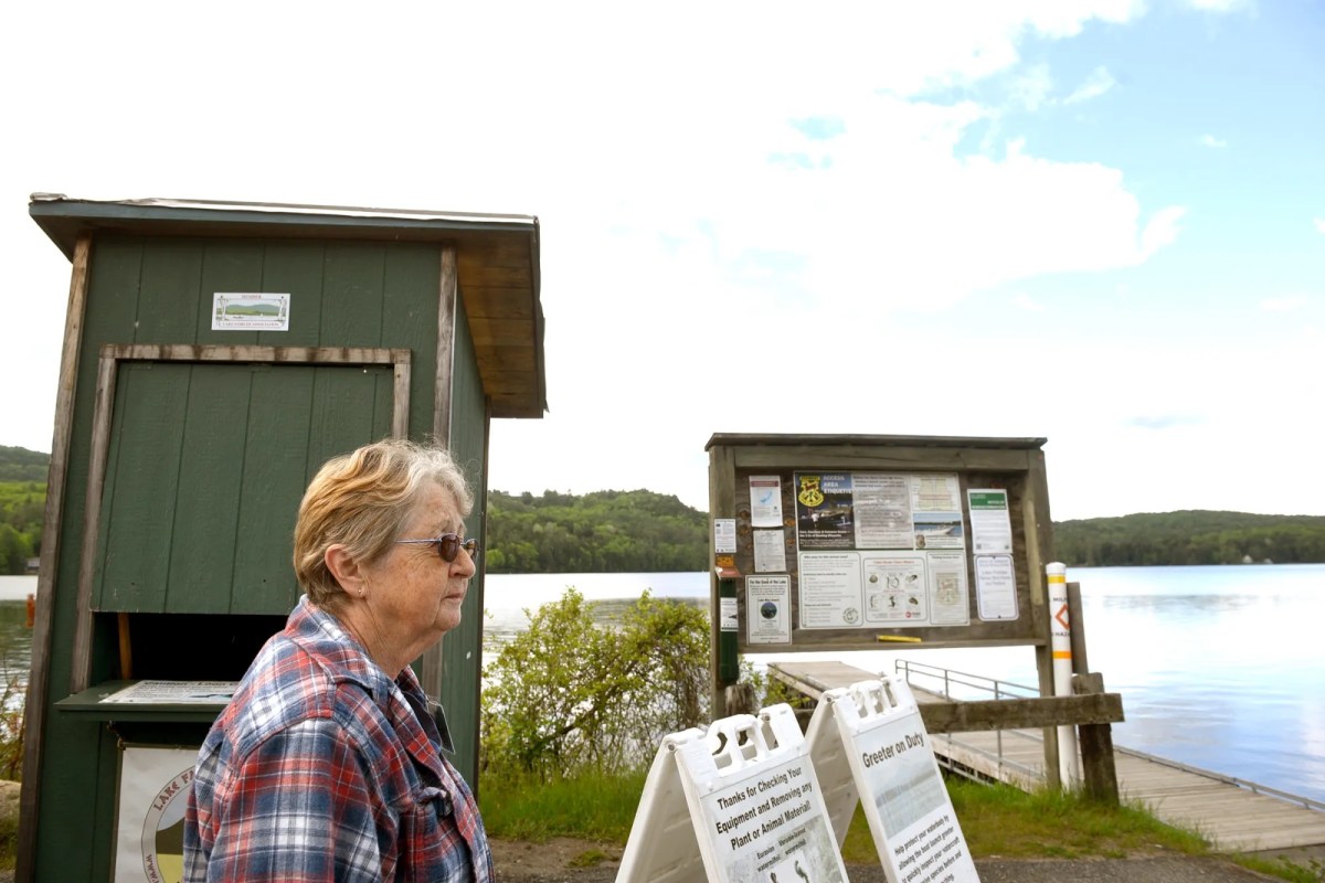 An older person in a plaid shirt stands near informational signs and a green wooden kiosk by a lakeside dock, with trees and hills in the background.