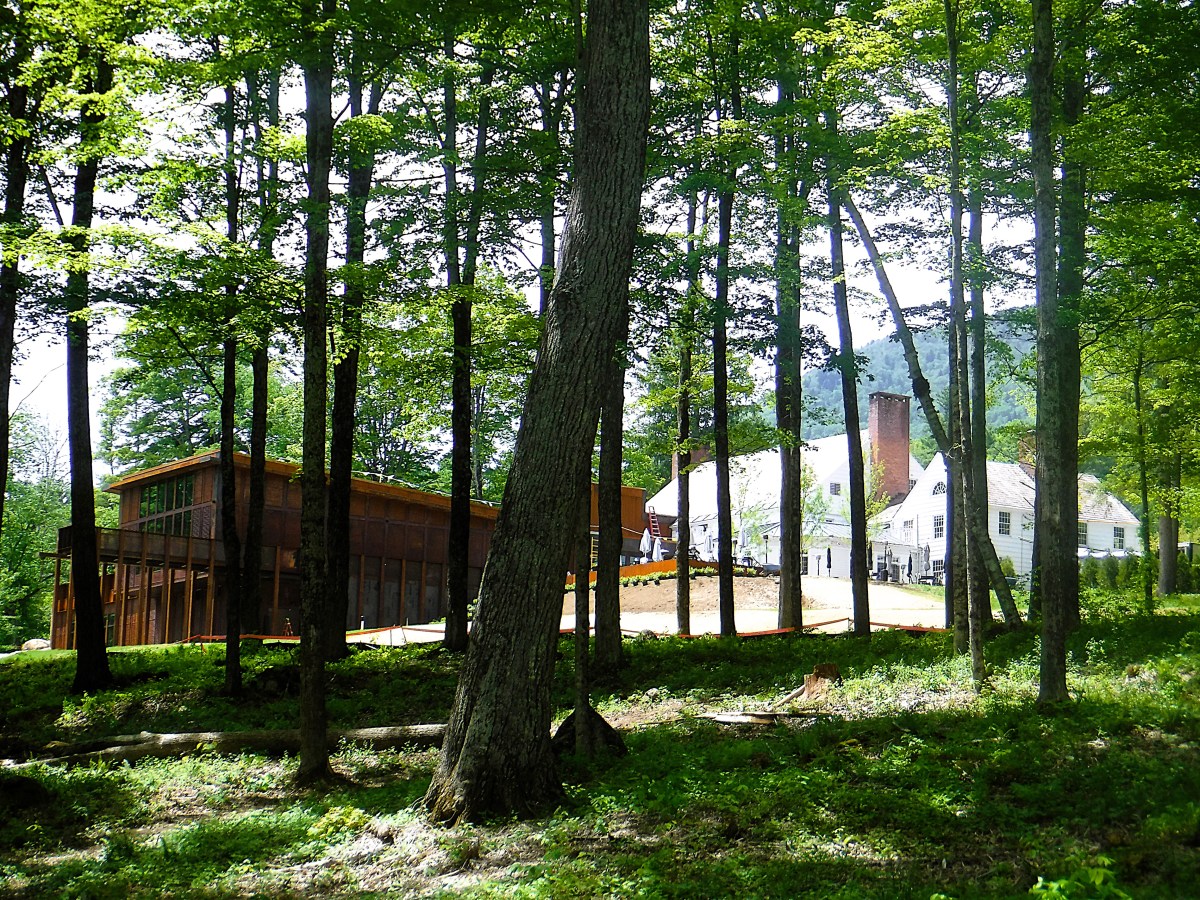 A modern wooden building and older white house stand among tall trees in a sunlit forest setting.