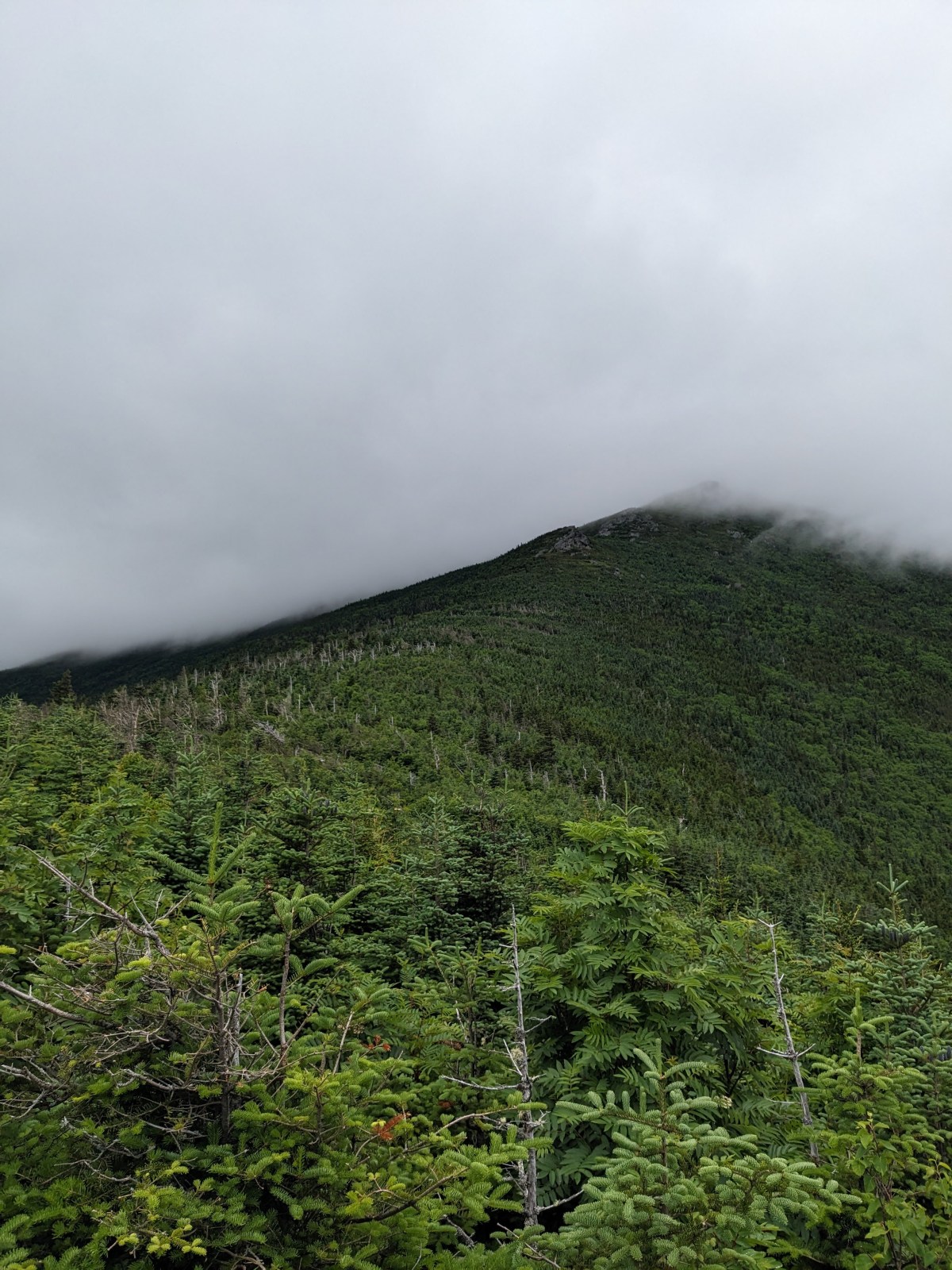 A green, forested mountain slope rises under a cloudy, overcast sky, with the mountain peak partially obscured by low-hanging clouds.