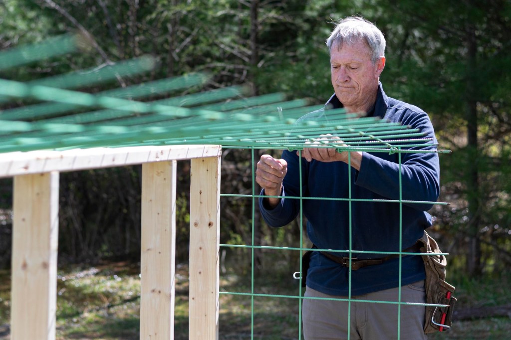 An older man attaches green wire fencing to a wooden frame outdoors, surrounded by trees.
