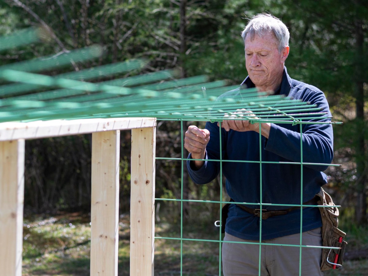 In rural Vermont, a pioneer of beaver coexistence continues his life’s work