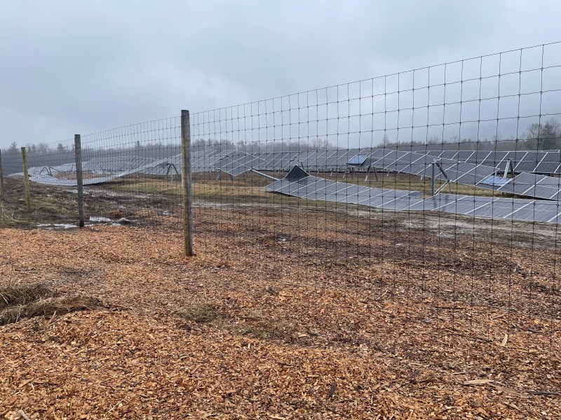 A fenced-off solar farm with rows of solar panels lies on uneven ground under a cloudy, overcast sky.